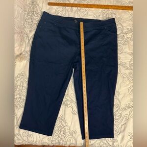 Kim Rogers 22W Navy Blue Capri pants EUC
